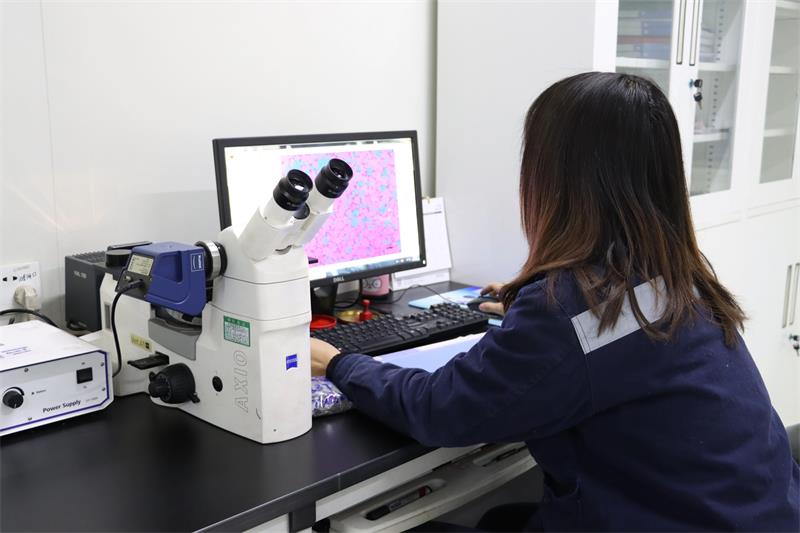 綠色智造，引領未來！明泰鋁業產品結構升級與再生鋁戰略深化之路